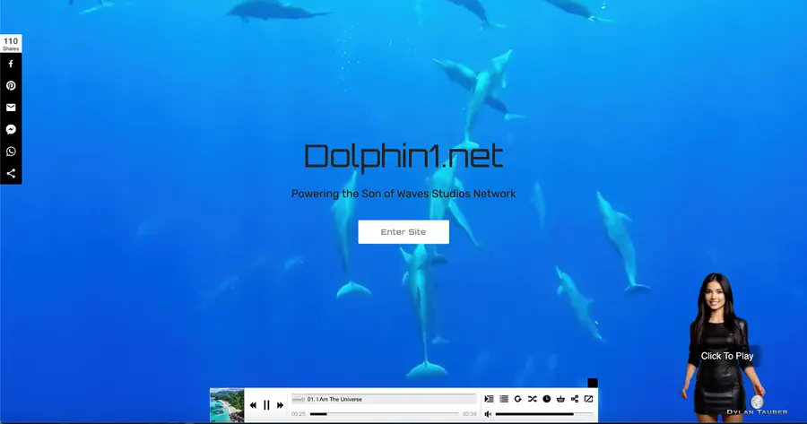 Dolphin1.net website preview