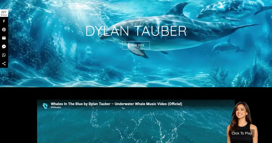 DolphinMusic.net website preview